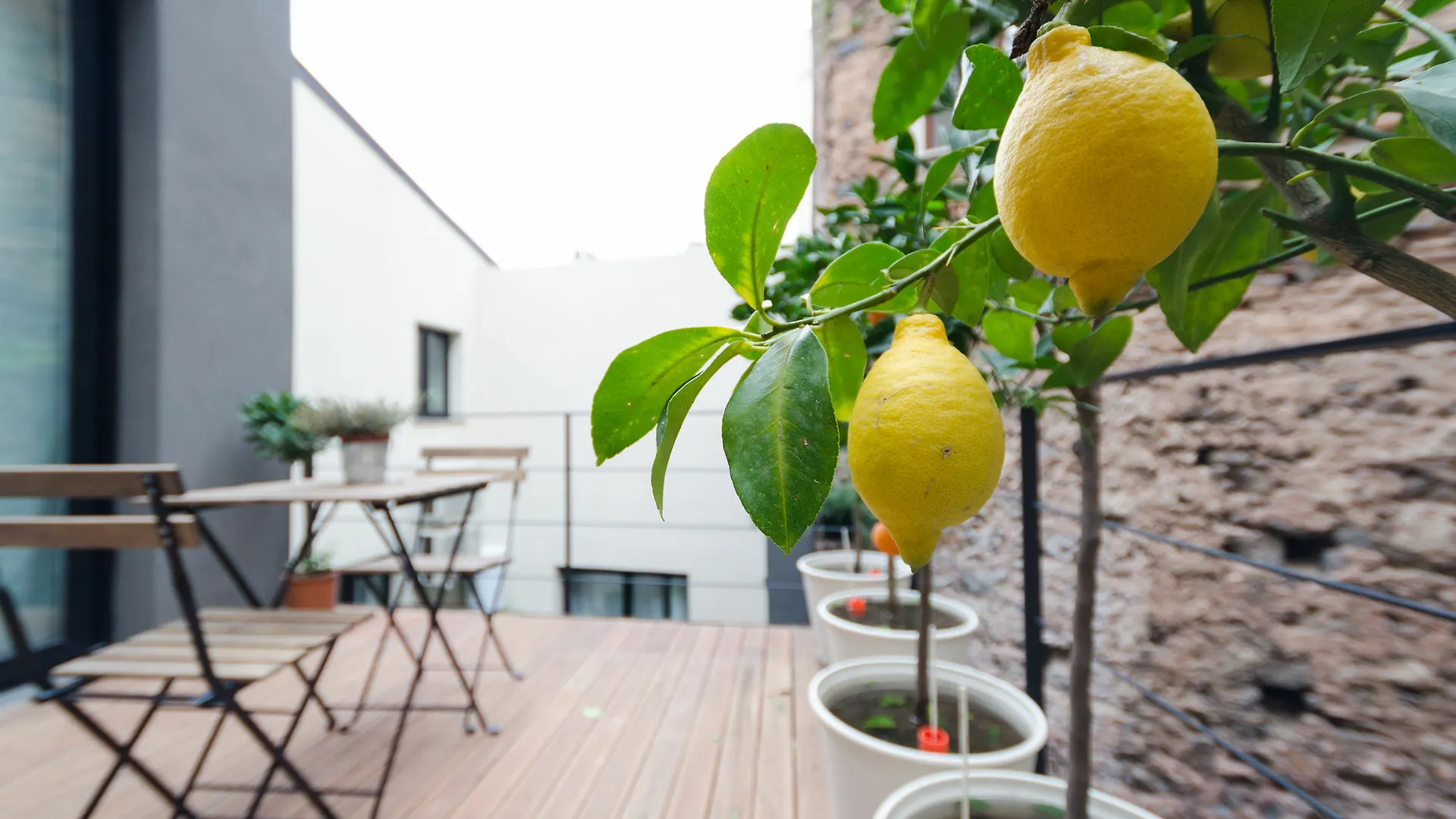 Pietranera Apartments Катания